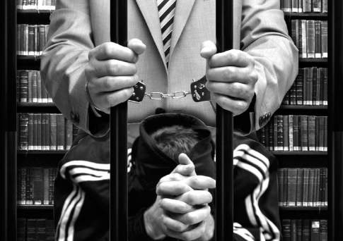 Адвокатская доля